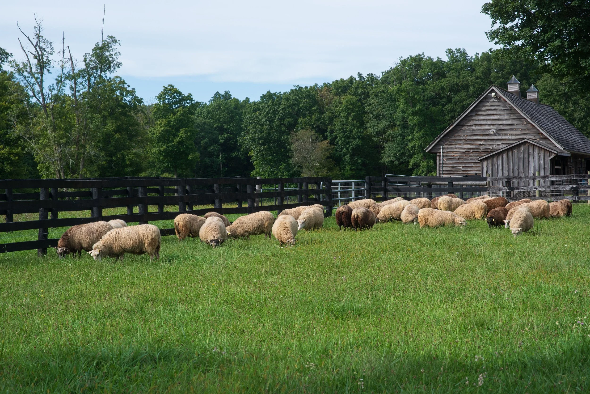 Hudson Valley Textile Lab